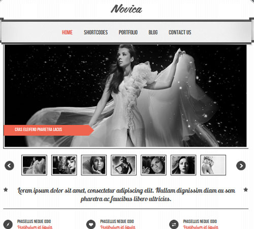 Novica WordPress theme