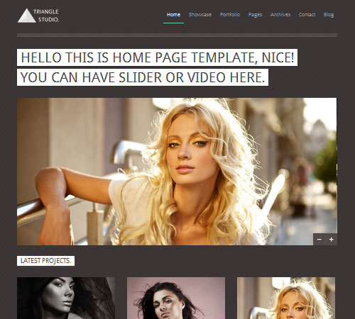 Triangle Studio wordpress theme